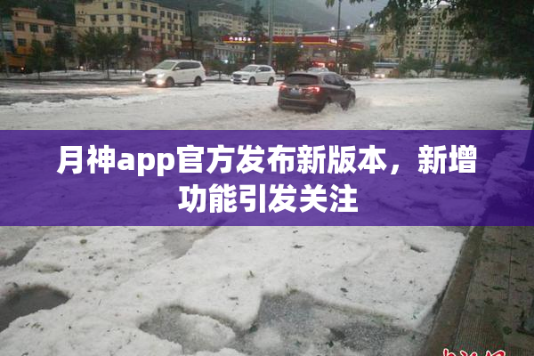 月神app官方发布新版本，新增功能引发关注