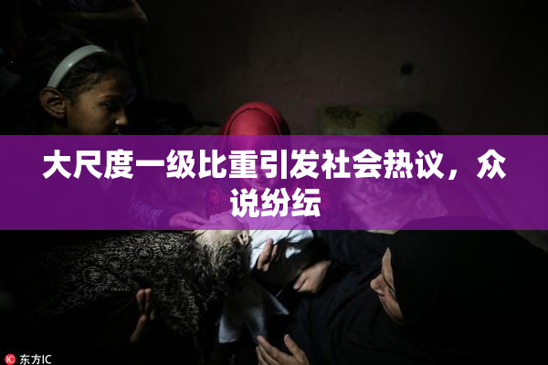 大尺度一级比重引发社会热议，众说纷纭