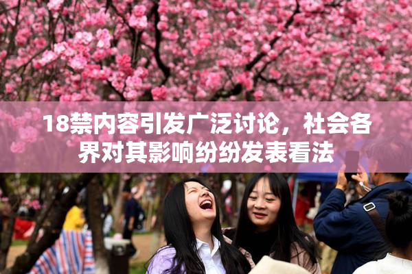 18禁内容引发广泛讨论，社会各界对其影响纷纷发表看法