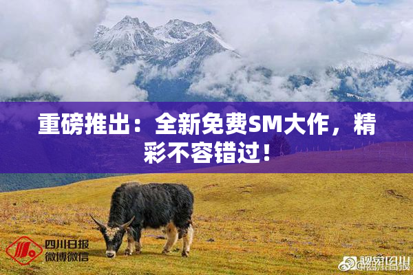 重磅推出：全新免费SM大作，精彩不容错过！