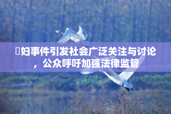 婬妇事件引发社会广泛关注与讨论，公众呼吁加强法律监管