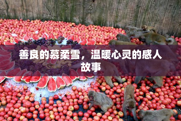 善良的慕柔雪，温暖心灵的感人故事