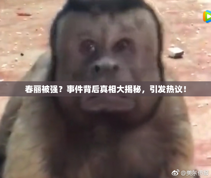 春丽被强？事件背后真相大揭秘，引发热议！