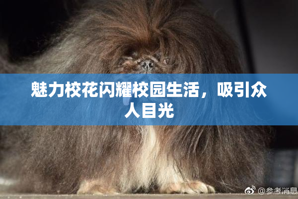 魅力校花闪耀校园生活，吸引众人目光
