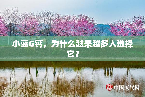 小蓝G钙，为什么越来越多人选择它？