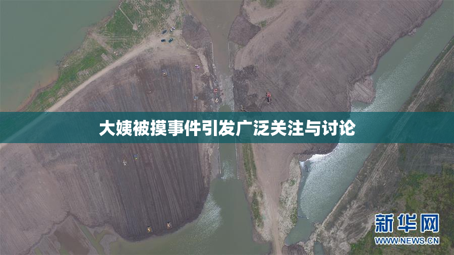 大姨被摸事件引发广泛关注与讨论