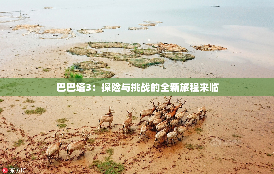 巴巴塔3：探险与挑战的全新旅程来临