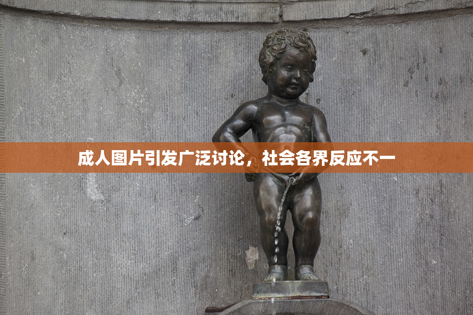 成人图片引发广泛讨论，社会各界反应不一