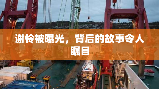 谢怜被曝光，背后的故事令人瞩目