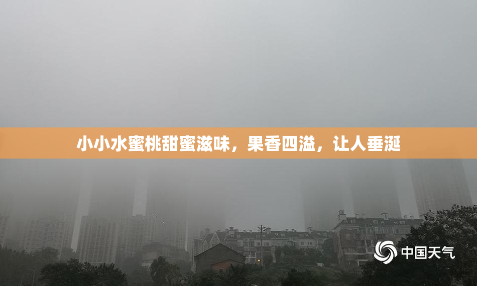 小小水蜜桃甜蜜滋味，果香四溢，让人垂涎