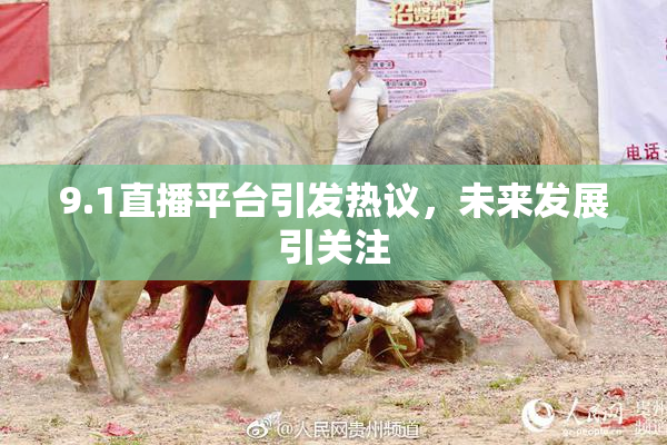 9.1直播平台引发热议，未来发展引关注