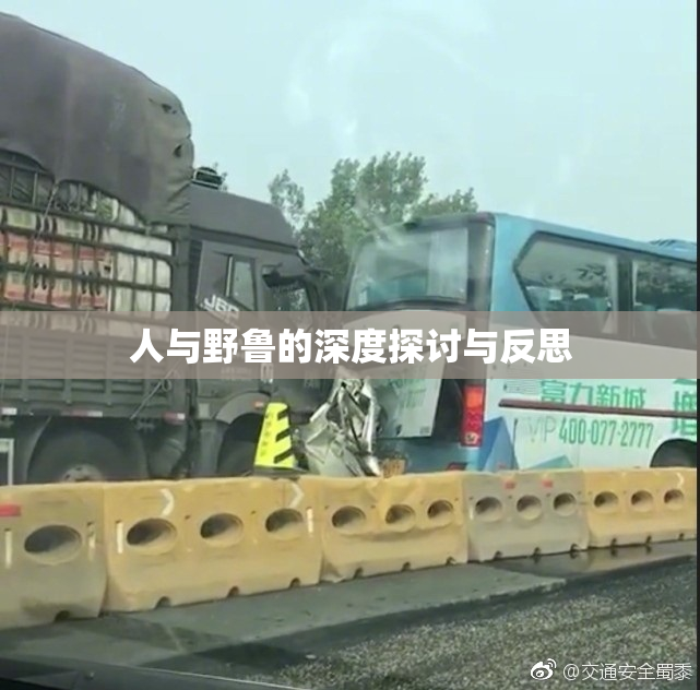 人与野鲁的深度探讨与反思