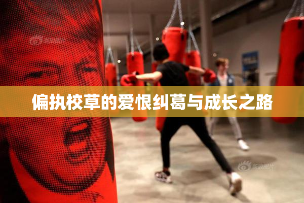 偏执校草的爱恨纠葛与成长之路