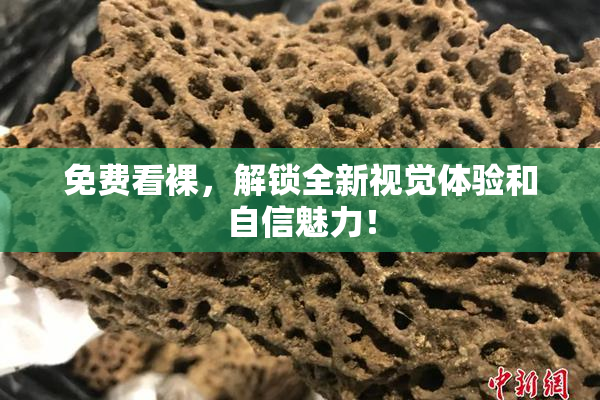 免费看裸，解锁全新视觉体验和自信魅力！