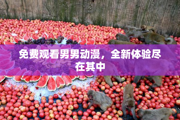 免费观看男男动漫，全新体验尽在其中