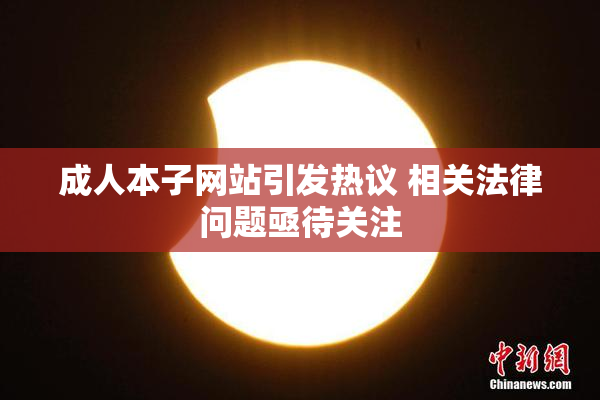 成人本子网站引发热议 相关法律问题亟待关注