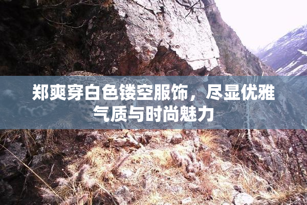 郑爽穿白色镂空服饰，尽显优雅气质与时尚魅力