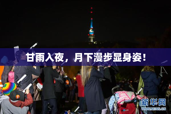 甘雨入夜，月下漫步显身姿！