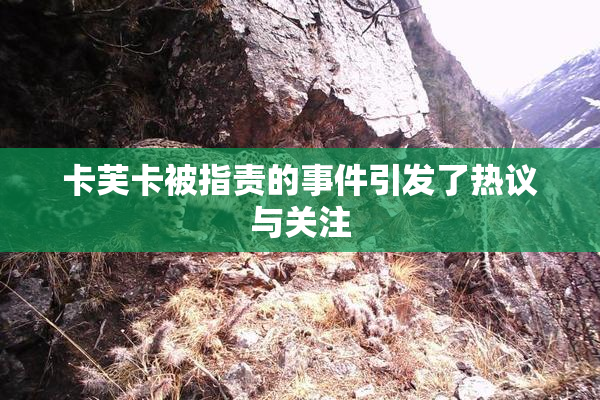 卡芙卡被指责的事件引发了热议与关注