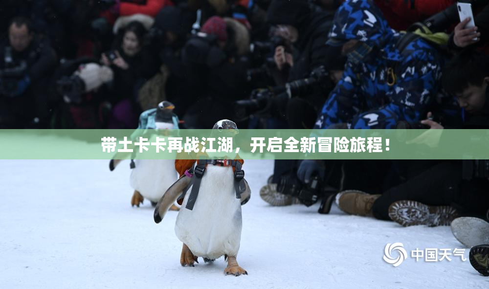 带土卡卡再战江湖，开启全新冒险旅程！