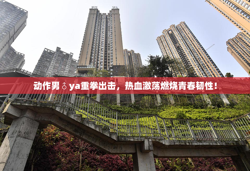 动作男♂ya重拳出击，热血激荡燃烧青春韧性！