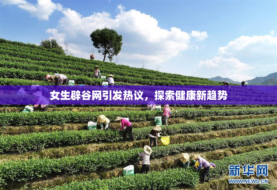女生辟谷网引发热议，探索健康新趋势