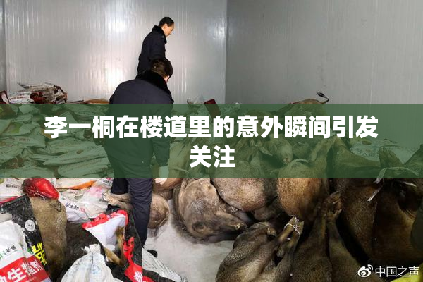 李一桐在楼道里的意外瞬间引发关注