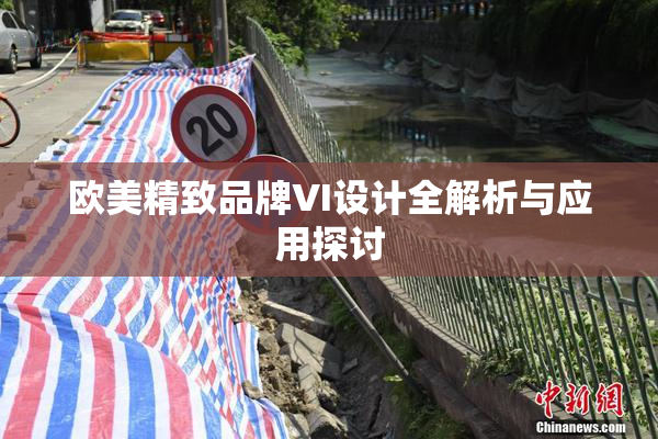欧美精致品牌VI设计全解析与应用探讨