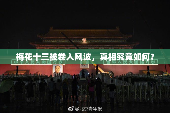 梅花十三被卷入风波，真相究竟如何？