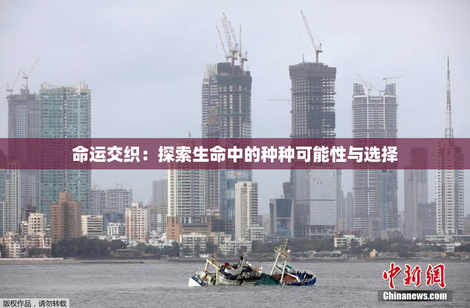 命运交织：探索生命中的种种可能性与选择