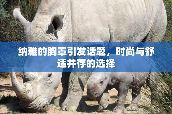 纳雅的胸罩引发话题，时尚与舒适并存的选择