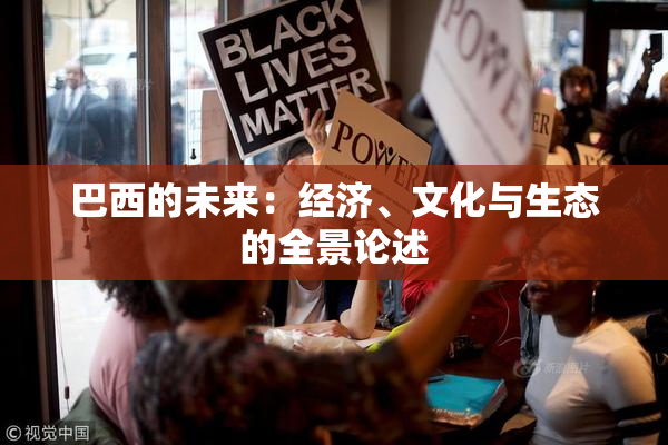 巴西的未来：经济、文化与生态的全景论述