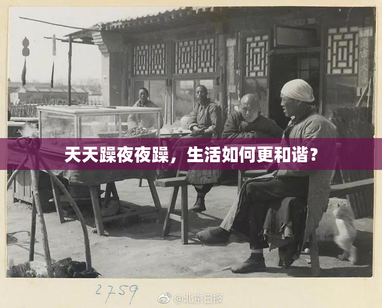 天天躁夜夜躁，生活如何更和谐？