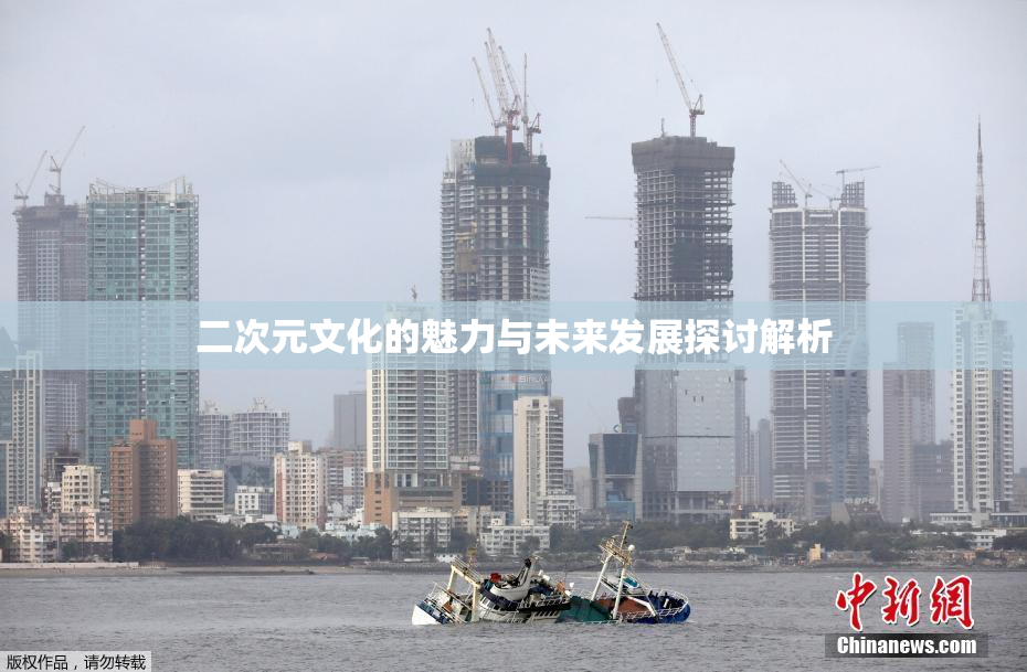 二次元文化的魅力与未来发展探讨解析