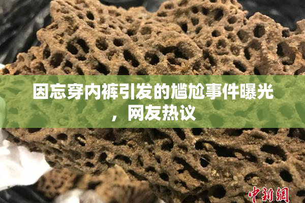 因忘穿内裤引发的尴尬事件曝光，网友热议