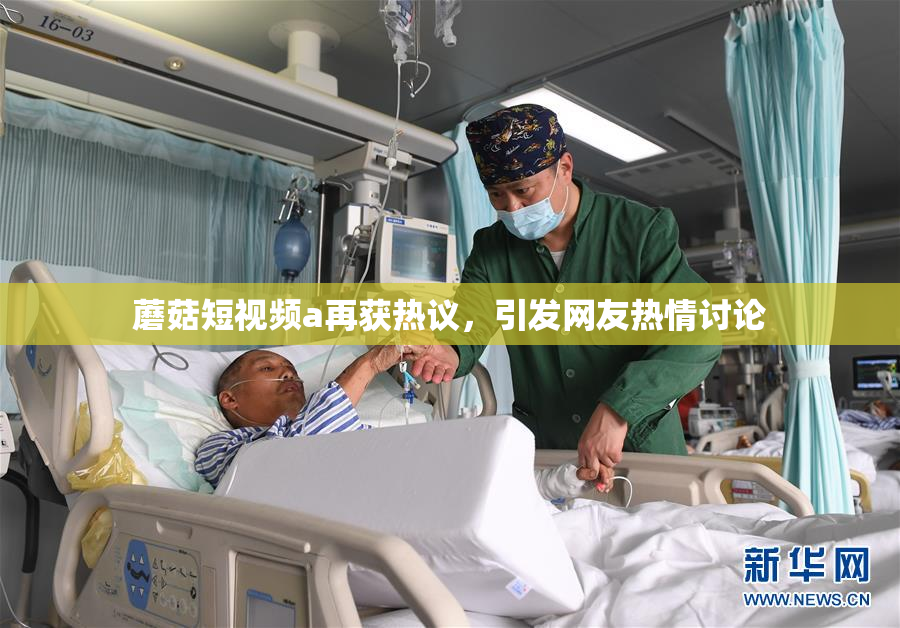 蘑菇短视频a再获热议，引发网友热情讨论