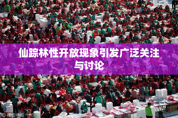 仙踪林性开放现象引发广泛关注与讨论