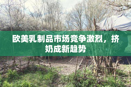 欧美乳制品市场竞争激烈，挤奶成新趋势