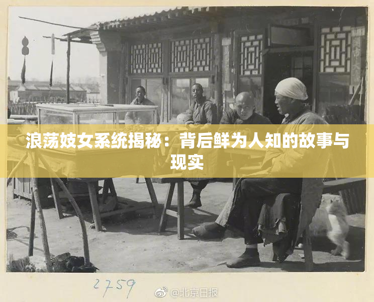浪荡妓女系统揭秘：背后鲜为人知的故事与现实