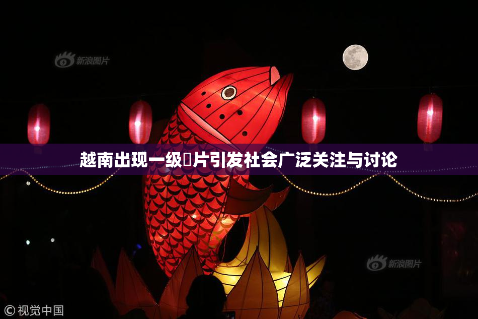 越南出现一级婬片引发社会广泛关注与讨论