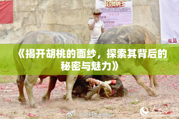 《揭开胡桃的面纱，探索其背后的秘密与魅力》