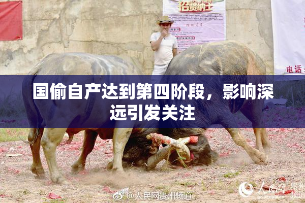 国偷自产达到第四阶段，影响深远引发关注