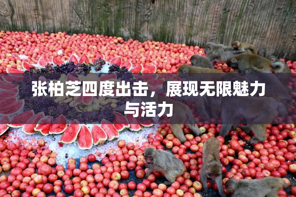 张柏芝四度出击，展现无限魅力与活力