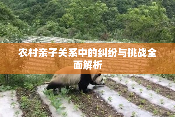 农村亲子关系中的纠纷与挑战全面解析