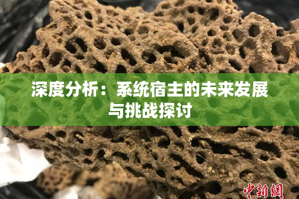 深度分析：系统宿主的未来发展与挑战探讨