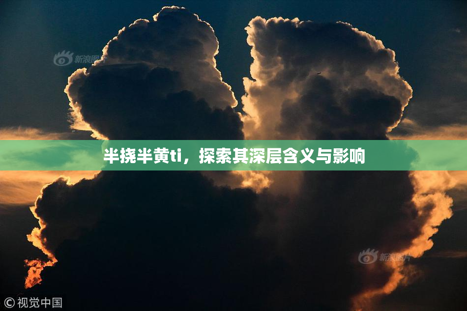 半挠半黄ti，探索其深层含义与影响