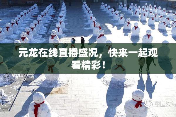 元龙在线直播盛况，快来一起观看精彩！