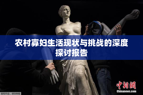 农村寡妇生活现状与挑战的深度探讨报告