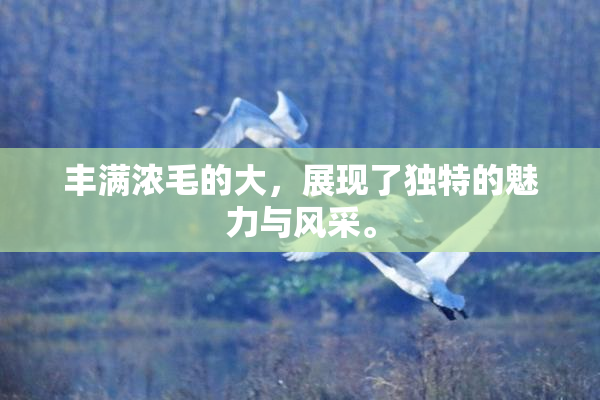 丰满浓毛的大，展现了独特的魅力与风采。
