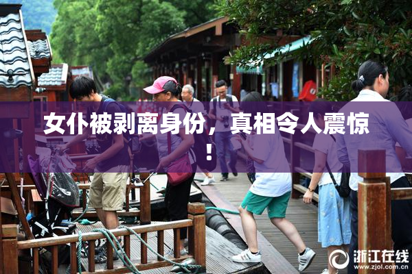 女仆被剥离身份，真相令人震惊！